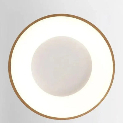 Luminária de Teto Sofisticada 220V com Controle de Ajuste de Intensidade